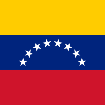 BANDERA DE VENEZUELA 90X150 FLAMEO