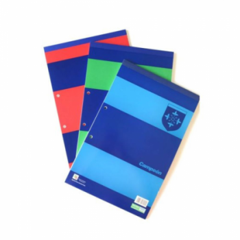 BLOCK CAMPEON ESQUELA A5 80HJ CUADRICULA