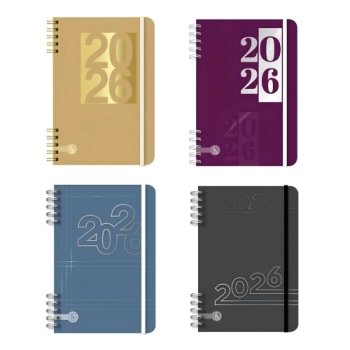 AGENDA REYSA 2026 DIA A DIA