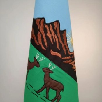 BANDERA CEREMONIA SAN LUIS JARDIN BORDAD