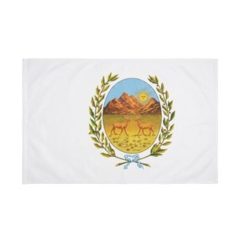 BANDERA DE SAN LUIS 90x150