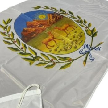 BANDERA DE SAN LUIS 90X150 FLAMEO